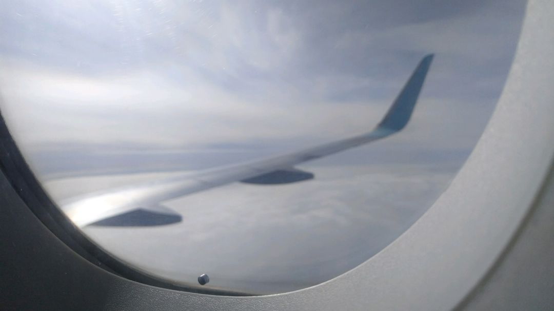 2020033114595929736.jpg